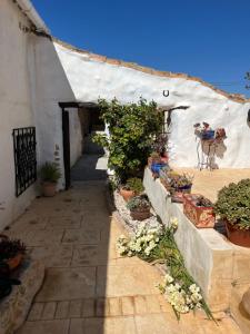 Zdjęcie z galerii obiektu Cortijo Calma - Countryside Peace & Tranquility w mieście Oria