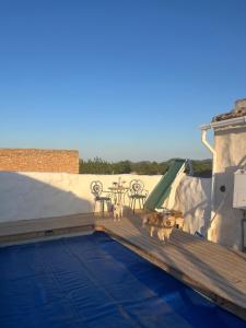 Basen w obiekcie Cortijo Calma - Countryside Peace & Tranquility lub w pobliżu
