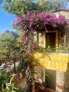 Um jardim em Symbola Oludeniz Beach Hotel
