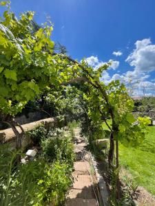 a garden with a row of trees and flowers at Huus Bellevue in Gleisweiler