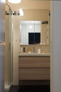 a bathroom with a sink and a shower with a mirror at Chez Fany - Superbe appartement en résidence avec parking in Metz