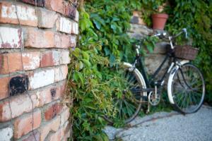 Attività di ciclismo presso il bed & breakfast o nelle vicinanze