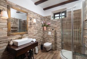 a bathroom with a sink and a shower and a toilet at Villa Rustica ZadarVillas in Smilčić +24 photos