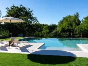 a swimming pool with an umbrella and a chair at b&b al fienile in Paderno del Grappa