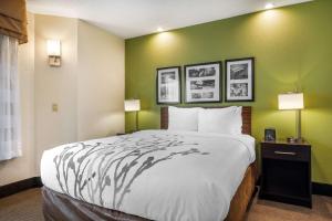 Cama grande en habitación con paredes verdes en Sleep Inn Henderson-Evansville South, en Henderson 29 fotos más