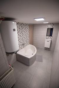 Afbeelding uit fotogalerij van Statek U Šťástků in Vodňany +38 foto's