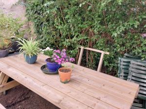 Κήπος έξω από το dortoir maricourt +7 φωτογραφίες