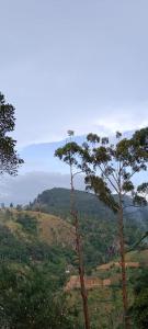 Paesaggio naturale nelle vicinanze dell'affittacamere