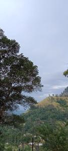 Paesaggio naturale nelle vicinanze dell'affittacamere