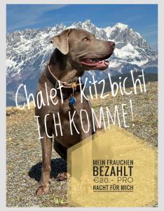 Φωτογραφία από το άλμπουμ του CHALET KITZBICHL by Alpin Charme Apartments σε Reith bei Kitzbühel