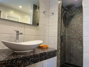 a bathroom with a sink and a shower at Ferienhaus Schrammsteinblick in Schöna +20 photos