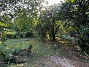 Un jardín fuera de Cseppecske Apartman