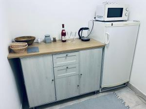 a counter with a microwave on top of a refrigerator at ViLa Veru in Liberec
