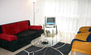 ein Wohnzimmer mit einem schwarzen Sofa und einem TV in der Unterkunft Residenz Larix Apartments in Davos