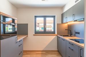 Kuchyň nebo kuchyňský kout v ubytování Hotel Alpensonne