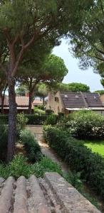 a garden with a tree and some bushes and trees at Casa a Calaverde pochi passi dal mare terrazza aria condizionata WiFi e parcheggio in Forte Village