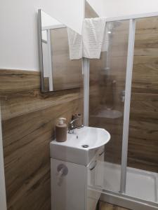 a bathroom with a sink and a shower with a mirror at Terracina Holiday Succursale in Terracina