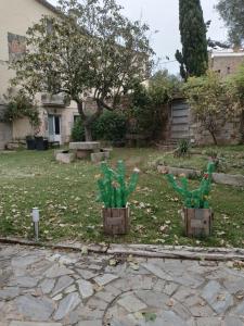 Κήπος έξω από το Casa turistica platja d'aro 2