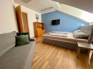 Televízia a/alebo spoločenská miestnosť v ubytovaní 3-Bedroom apartment in Rajhrad, with kitchen, 2 bathrooms, parking