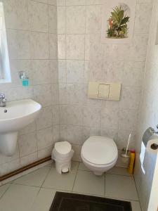 Koupelna v ubytování 3-Bedroom apartment in Rajhrad, with kitchen, 2 bathrooms, parking + 9 fotografií