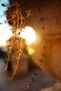 a lit up street light with a plant at Hotel Villa Margherita in Quercianella