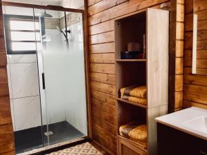 圣若瑟Bungalow cosy, tout confort的带淋浴和水槽的浴室