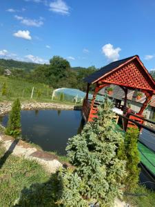 a gazebo next to a pond in a field at Pensiunea Teodora Breb Maramu in Breb