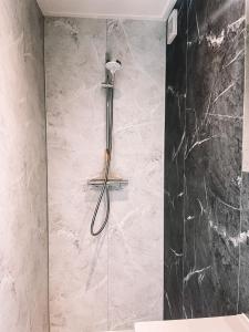a shower with a shower head in a bathroom at Modern Tiny House Sari in Zeeland near the sea in Heinkensand +24 photos