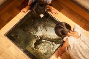 Majutusasutuse Arifuku Onsen Yoshidaya külastajad
