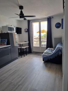 TV a/nebo společenská místnost v ubytování Appartement CHLOE vue mer et Canigou 1ere ligne