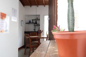 メデジンにあるLiving Poblado Manila 301 E Habitación Dobleの鉢植えが置かれたテーブル