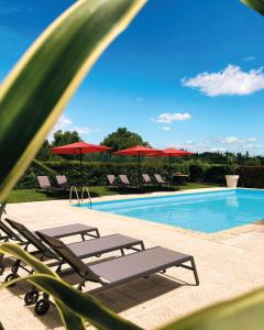 Bazén v ubytování Quinta Dom Sapo - Agroturismo nebo v jeho okolí