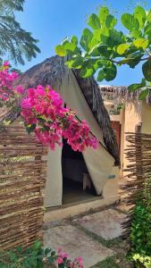 a house with a thatched roof with pink flowers at Vila Prana in Barra Grande +13 photos