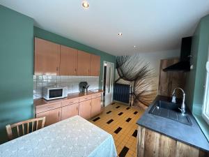 a kitchen with a sink and a counter top at le Jardin d'Odette in Yèvres-le-Petit