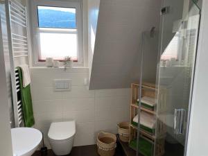 a bathroom with a toilet and a sink and a window at Ferienwohnung Weingut Sturm in Buergstadt +11 photos