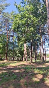 Fotografie z fotogalerie ubytování Ośrodek Wypoczynkowy Pod Sosną v destinaci Wólka