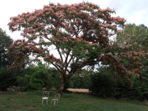 Photo de la galerie de l'établissement Gites du Mas Davet, à Miers