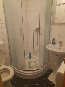 a bathroom with a shower and a toilet and a sink at Apartmani, prenoćište Ana in Tomislavgrad