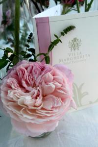 a pink flower in a vase next to a book at Hotel Villa Margherita in Quercianella