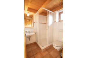 a bathroom with a shower toilet and a sink at Almhäuser Filzsteinalpe Almhaus 205 in Krimml +13 photos