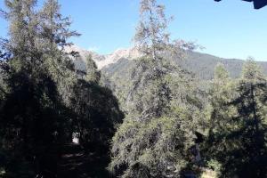 a group of trees with a mountain in the background at Au Petit Conf'Orres in Les Orres