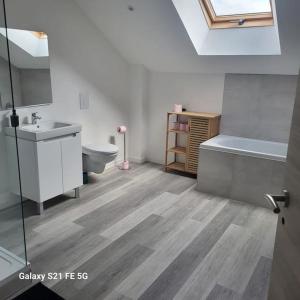 a bathroom with a sink and a toilet and a window at Maison 3 chambres avec jardin in Bouxières-aux-Dames