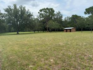 Photo de la galerie de l'établissement Lemonade Acres, Where Horses Stay for Free!, à Rolling Ranches