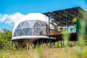 Zahrada ubytování Tocuma Glamping