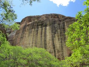 a large rock formation behind some trees at EcoRupestre Hostel & Receptivo in São Raimundo Nonato