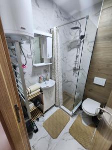 Kúpeľňa v ubytovaní Studio Planinski san Divčibare