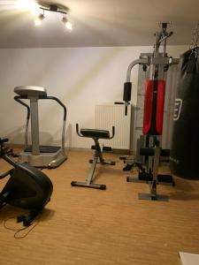 Fitness centrum a/nebo fitness zařízení v ubytování Appartement Kammblick