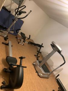 Fitness centrum a/nebo fitness zařízení v ubytování Appartement Kammblick