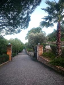 a road with a palm tree and a brick wall at Residence l'Ogliastro in Petrizzi
