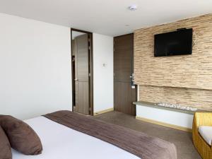 TV a/nebo společenská místnost v ubytování Hotel Apartamentos Regency La Feria